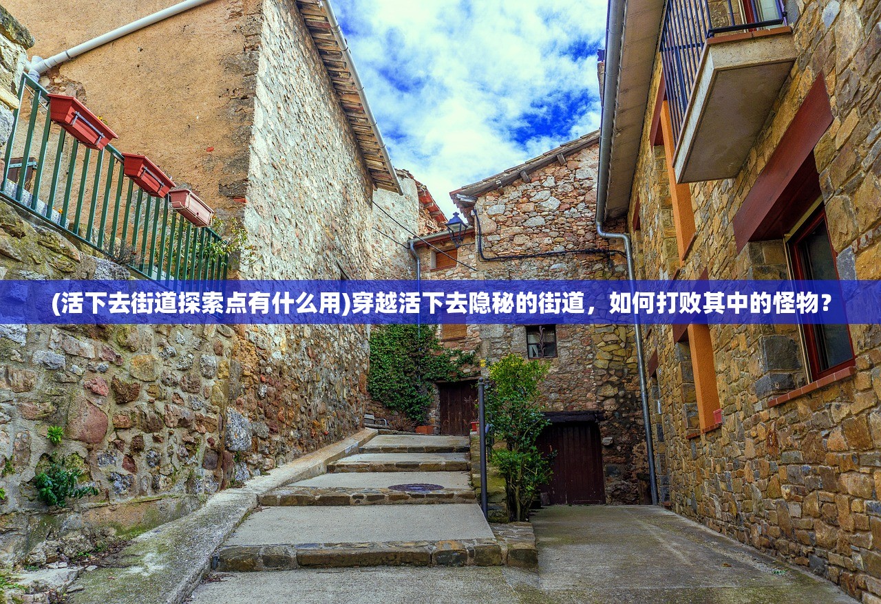 2024最新一轮病毒|探索澳门的秘密与美景_领航款.3.276