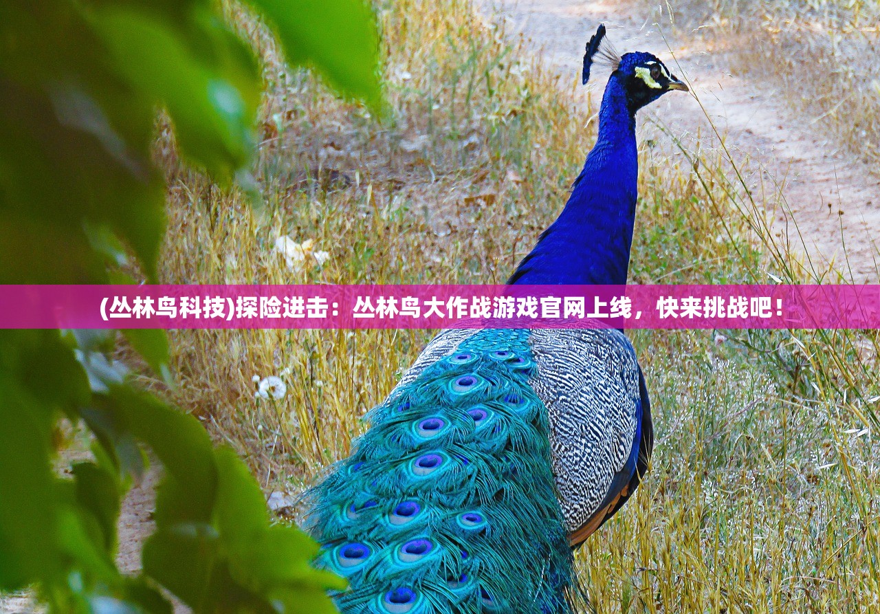 香港开奖记录查询|自然之美与心灵之旅_连续集.9.517 香港开奖记录查询|自然之美与心灵之旅_连续集.9.517