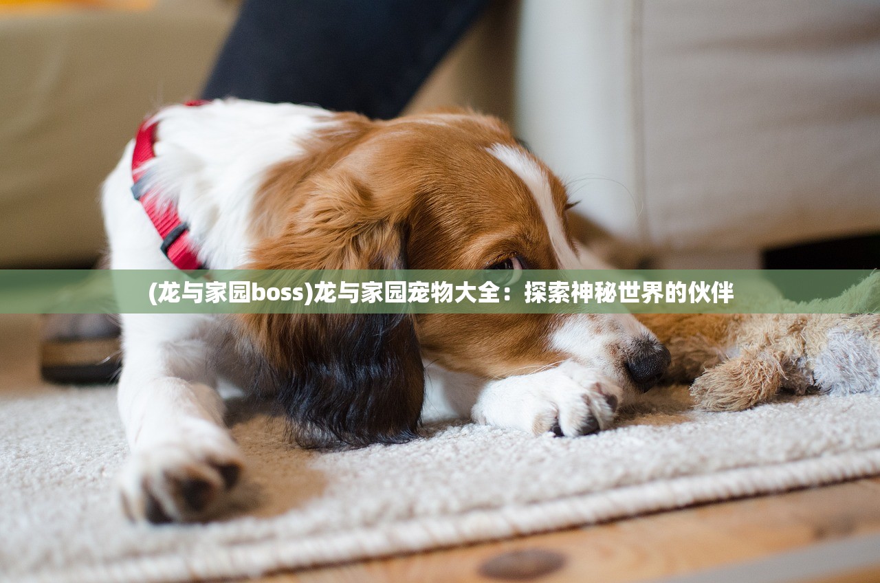 2024澳门特马今晚开奖最新消息|实证分析解释落实_公开款.4.711 2024澳门特马今晚开奖最新消息|实证分析解释落实_公开款.4.711