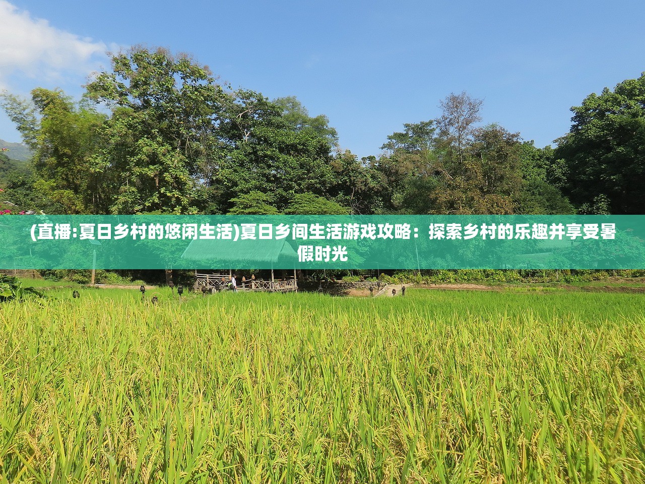 2024新澳最准的免费资料|实践研究解释落实_D版.8.160 2024新澳最准的免费资料|实践研究解释落实_D版.8.160