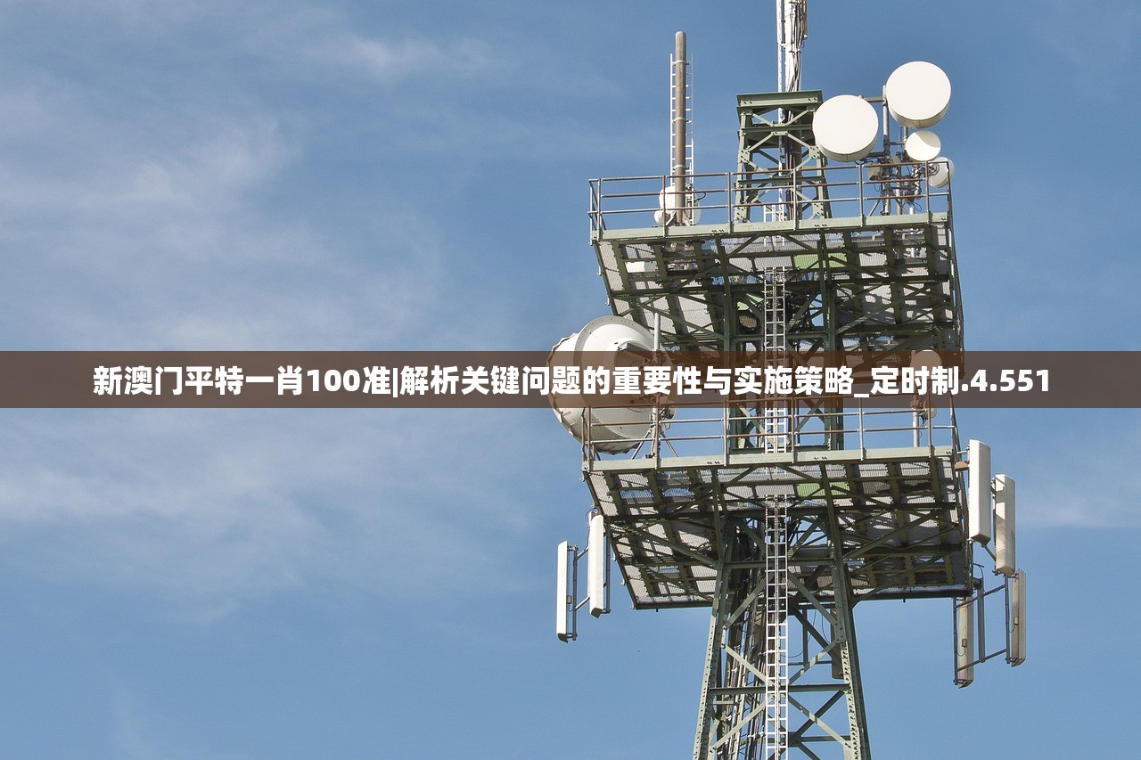 新澳门平特一肖100准|解析关键问题的重要性与实施策略_定时制.4.551