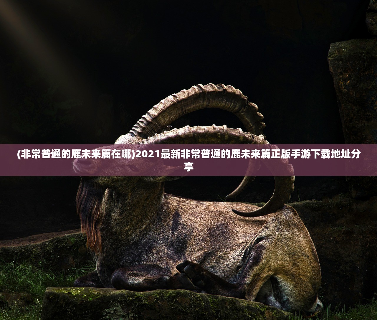 (光明勇士术士技能搭配与天赋加点)光明勇士术士，职业解析与探索