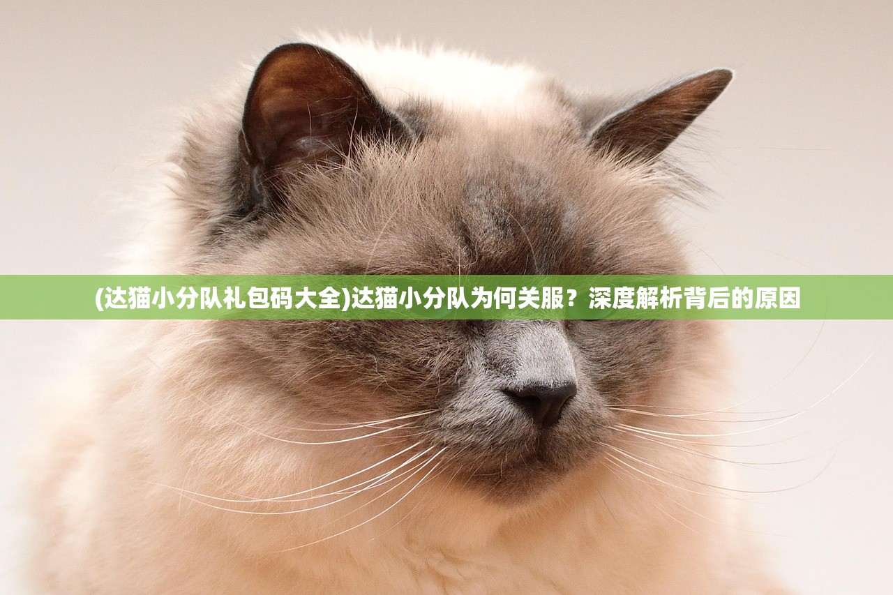 (达猫小分队礼包码大全)达猫小分队为何关服？深度解析背后的原因