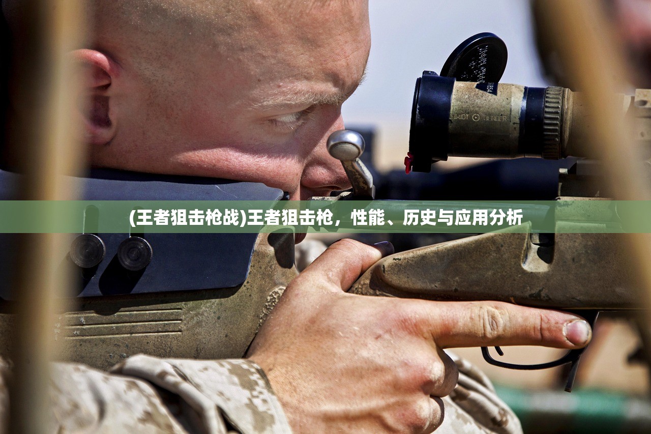 (王者狙击枪战)王者狙击枪,性能、历史与应用分析 (王者狙击枪战)王者狙击枪,性能、历史与应用分析