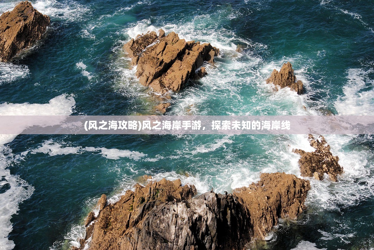 (风之海攻略)风之海岸手游，探索未知的海岸线