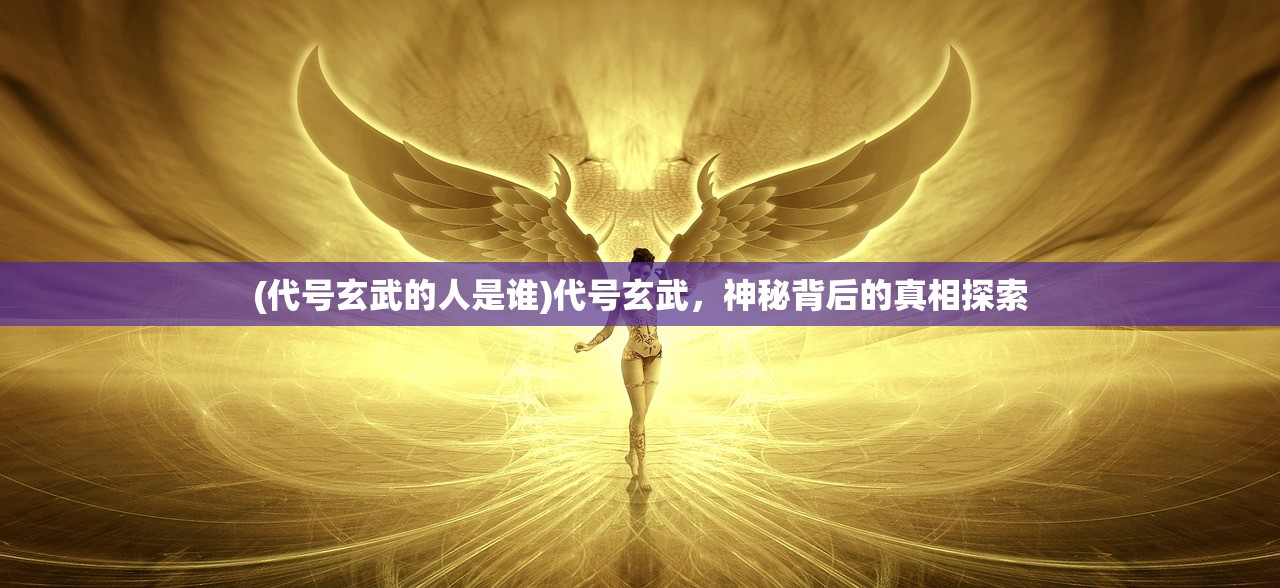 (代号玄武的人是谁)代号玄武，神秘背后的真相探索