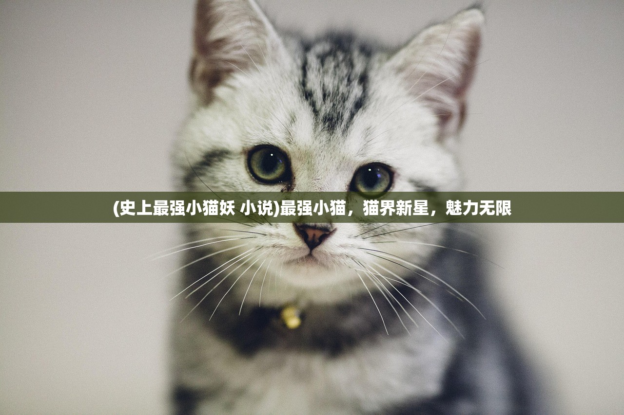 (逆觅长生金木水火土代码)逆觅，探索未知的奥秘