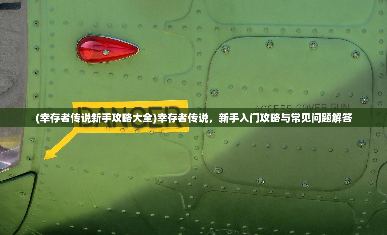 (幸存者传说新手攻略大全)幸存者传说，新手入门攻略与常见问题解答