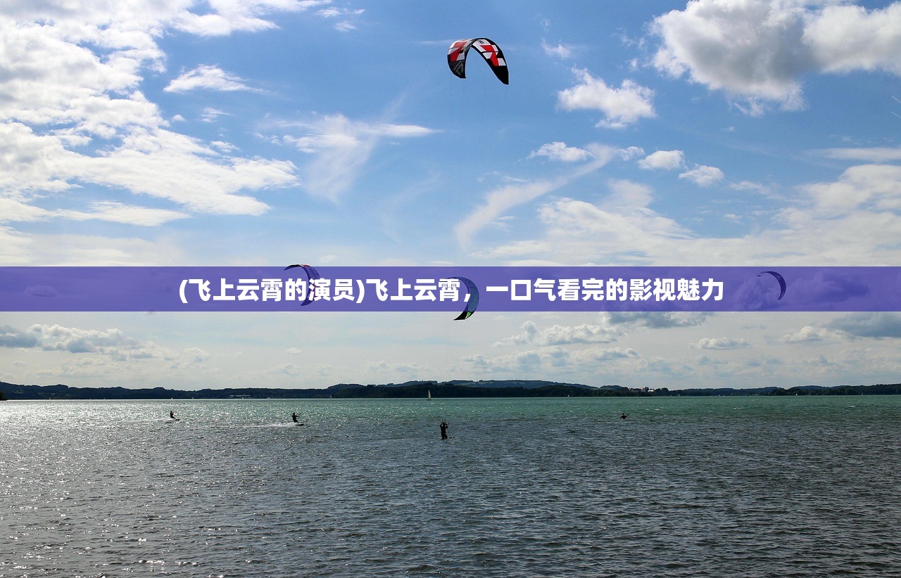 (独奏骑士修改器下载)独奏骑士修改器的探索与解析 (独奏骑士修改器下载)独奏骑士修改器的探索与解析