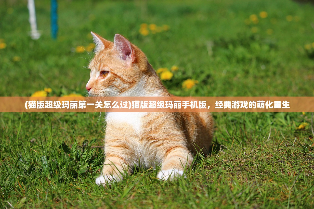 (猫版超级玛丽第一关怎么过)猫版超级玛丽手机版，经典游戏的萌化重生