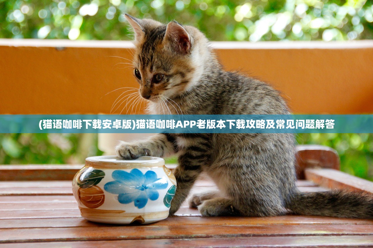 (猫语咖啡下载安卓版)猫语咖啡APP老版本下载攻略及常见问题解答