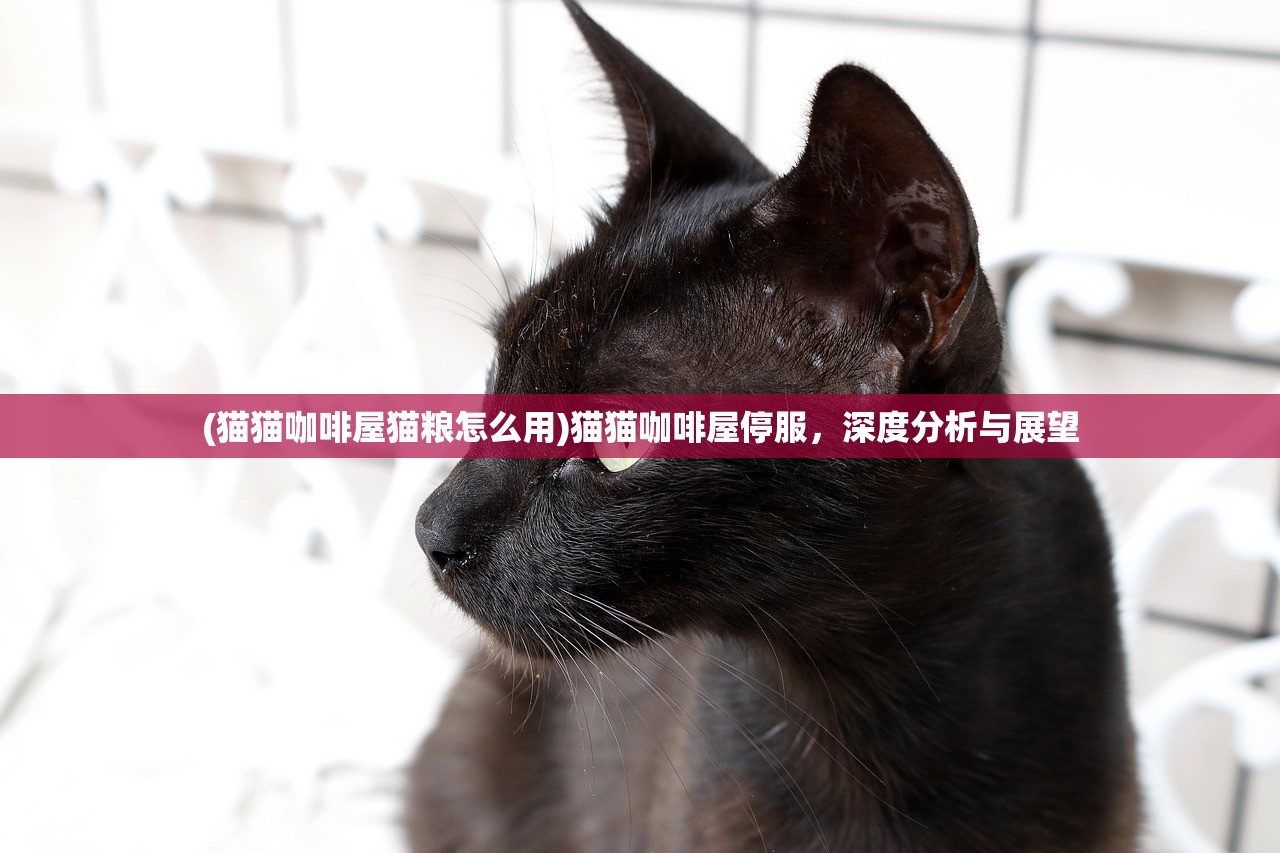 (猫猫咖啡屋猫粮怎么用)猫猫咖啡屋停服，深度分析与展望