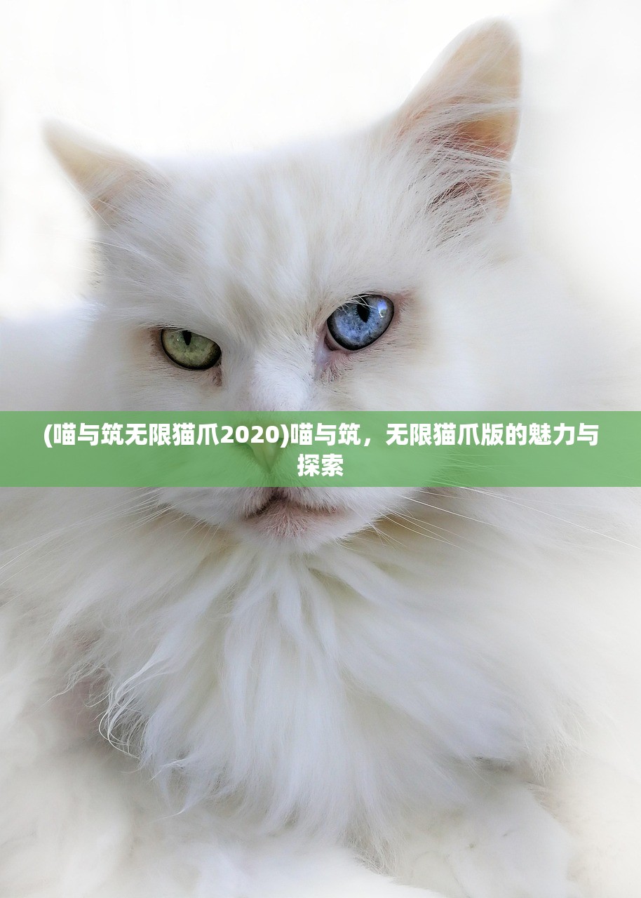 (喵与筑无限猫爪2020)喵与筑，无限猫爪版的魅力与探索