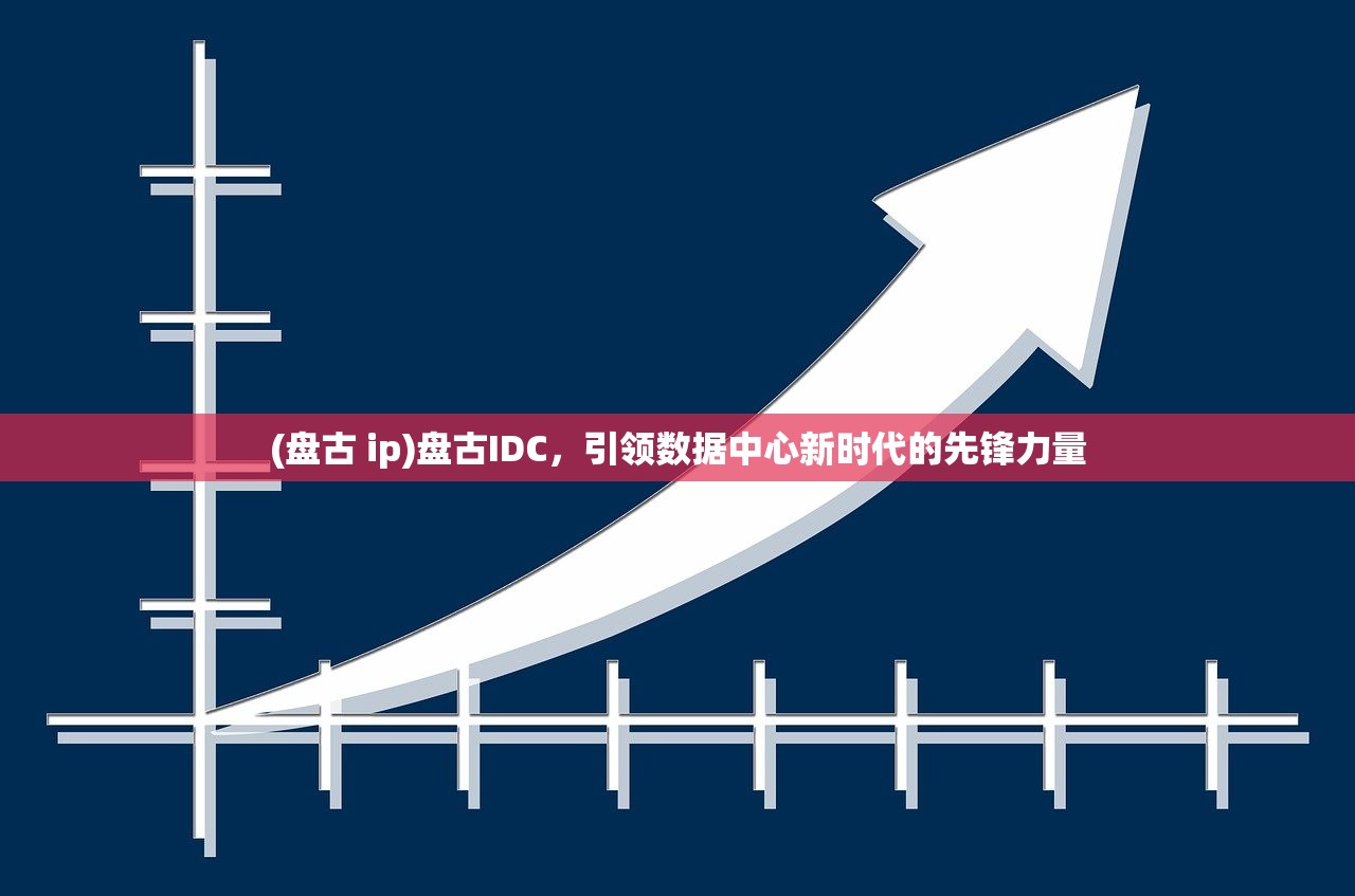 (盘古 ip)盘古IDC，引领数据中心新时代的先锋力量