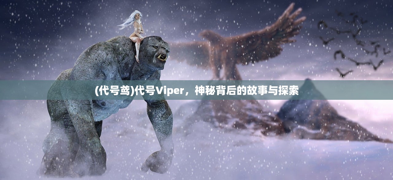 (代号鸢)代号Viper，神秘背后的故事与探索