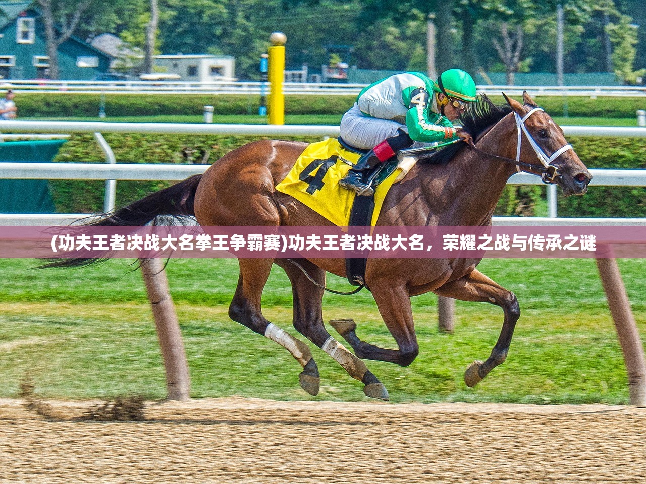 (功夫王者决战大名拳王争霸赛)功夫王者决战大名,荣耀之战与传承之谜 (功夫王者决战大名拳王争霸赛)功夫王者决战大名,荣耀之战与传承之谜
