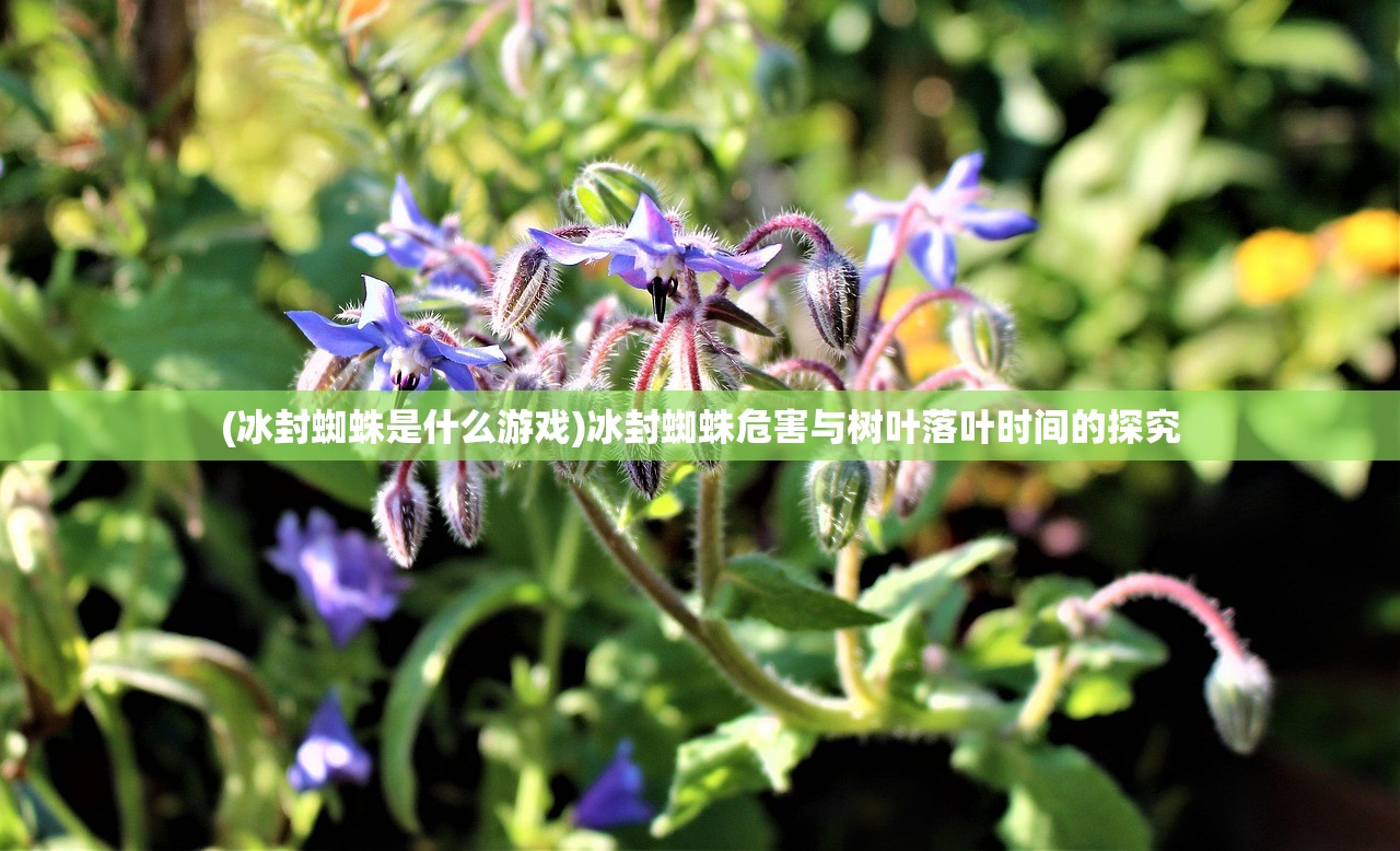 (小米赛车现在还能玩吗知乎)小米赛车现在还能玩吗，一个深入分析与探讨